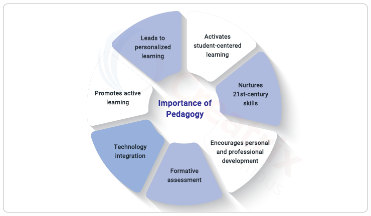 importance of pedagogy