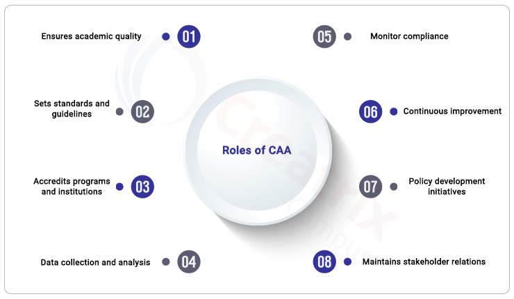 role and responsibility of CAA