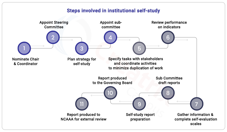 institutional self study steps